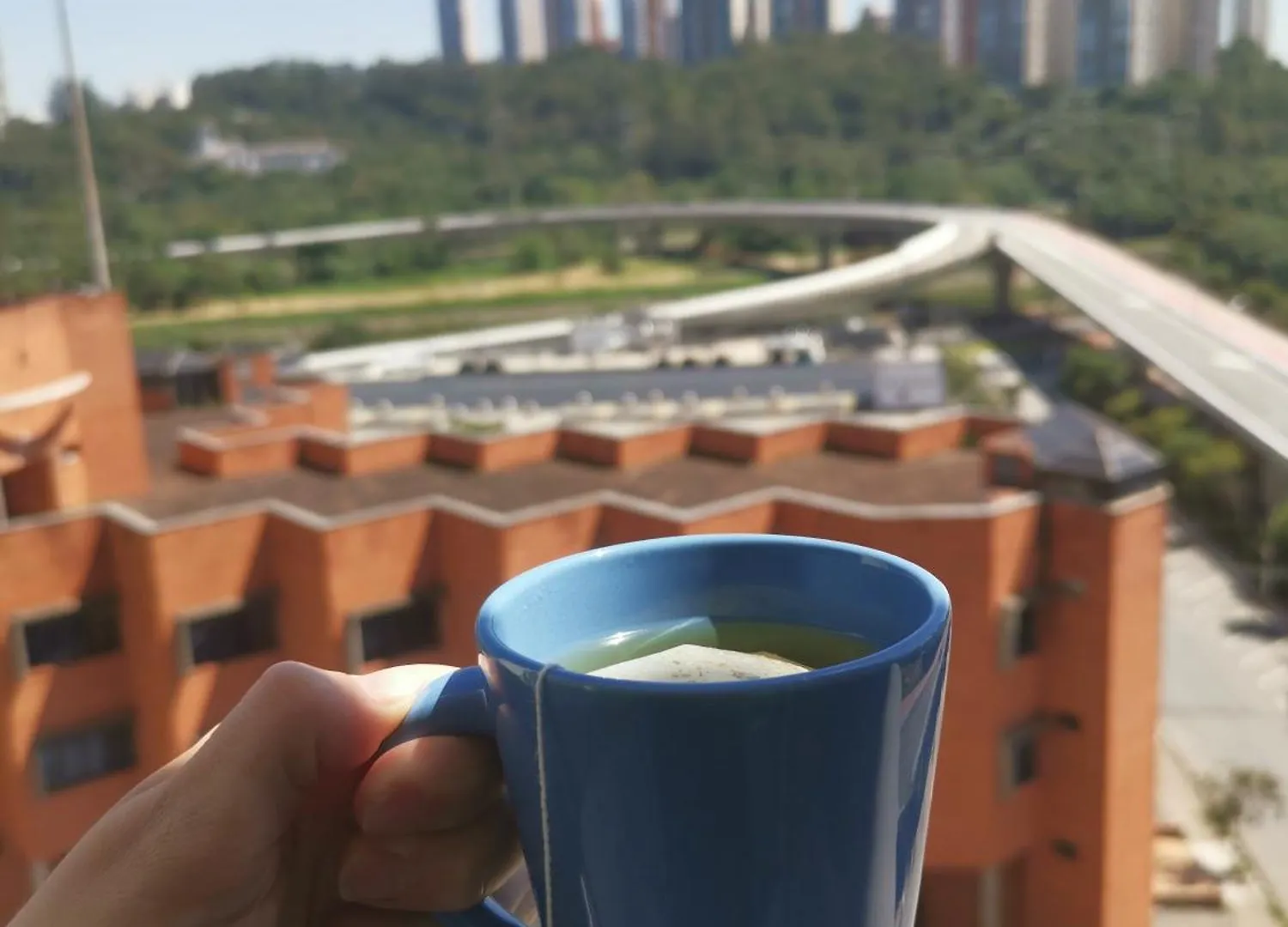 Studio Lupi - Ponte Laguna ساو باولو 0*,